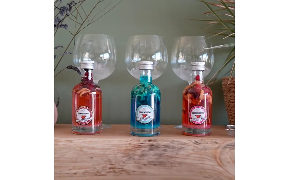 Treat Factory Vodka Infusion Kit Set Of 3