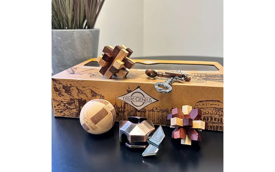 True Genius Curated Collection Wooden Puzzles