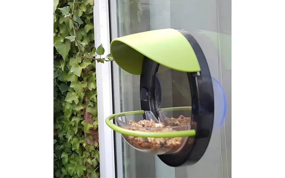 Window Bird Feeder