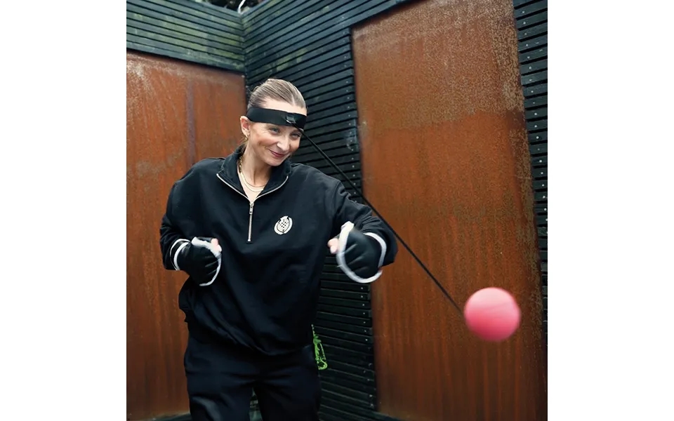 Winning Reflex Boxing Balls