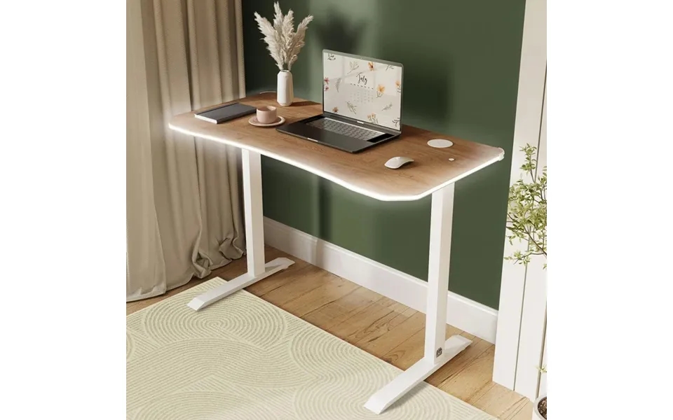 Xr Living Oka Rgb Office Desk