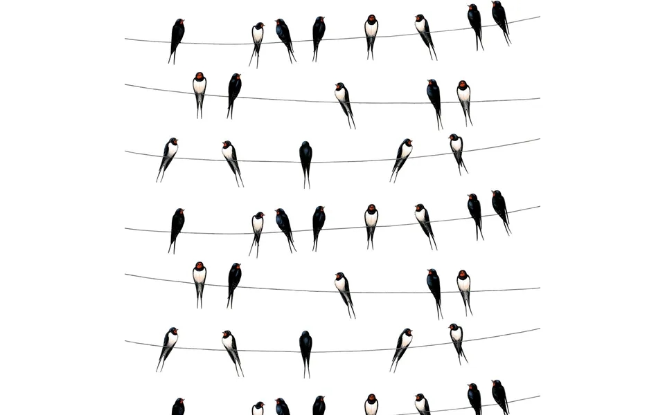 Arvidssons Textil Ladusvalor Fabric White