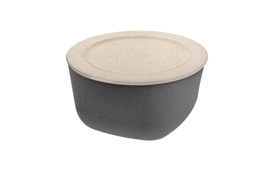 Koziol Connect Bowl Basin With Lid 4 L Biocircular Thermoplastic Nature Ash Grey