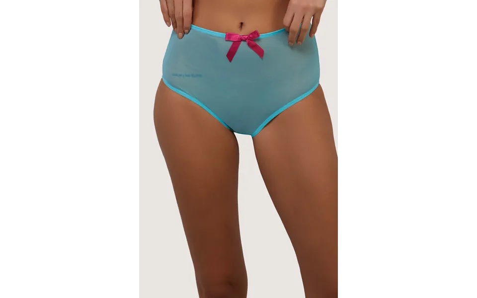 Cleo Contrast Stitch Mesh Retro High Waisted Brief 16