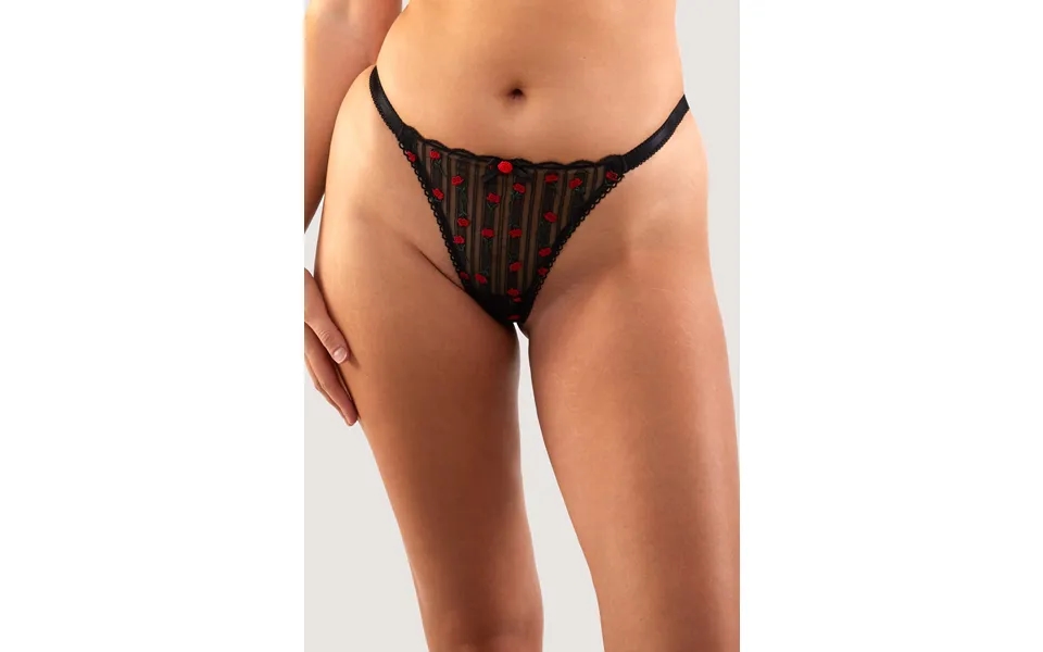 Elodie Black And Red Rosebud Embroidery Brief 14