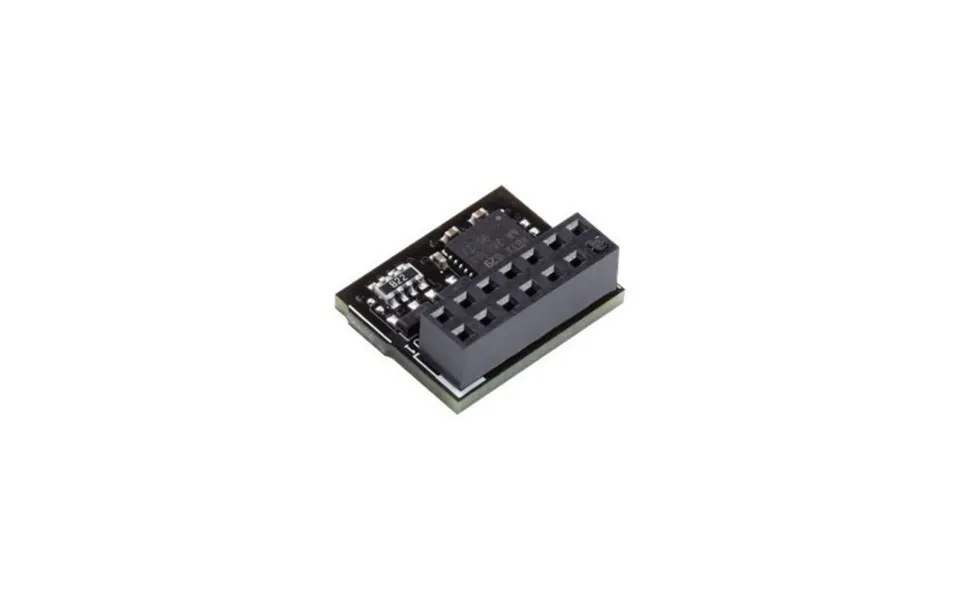 Asus Tpm-spi Card 14-pin Module
