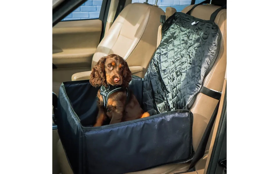 2-in-1 Pet Car Seat And Seat Protector