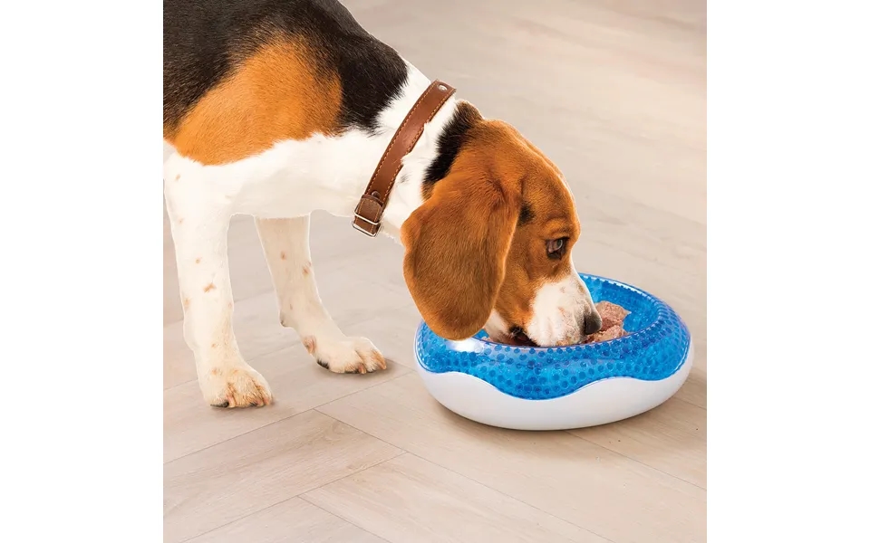 Cooling Dog Bowl H21 Xw21 Xd7.5cm - Non-slip Base