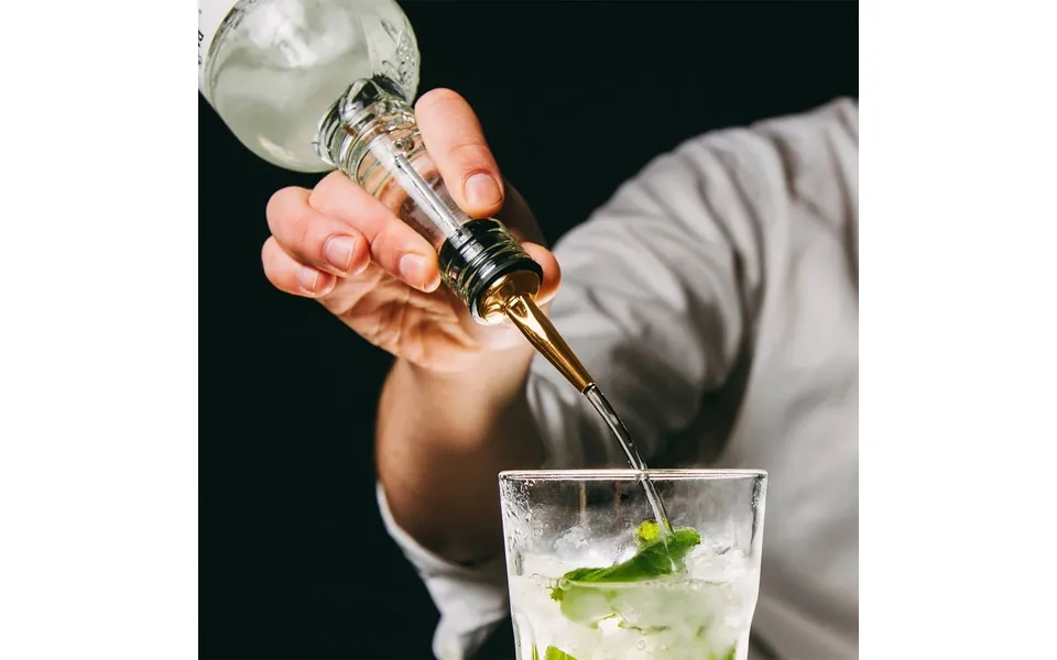 Final Touch Liquor Bottle Pourers Copper Finish Set Of 2