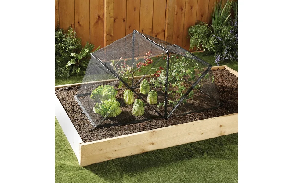 Folding Crop Cage Open - L94x W54.5 Xh47cm