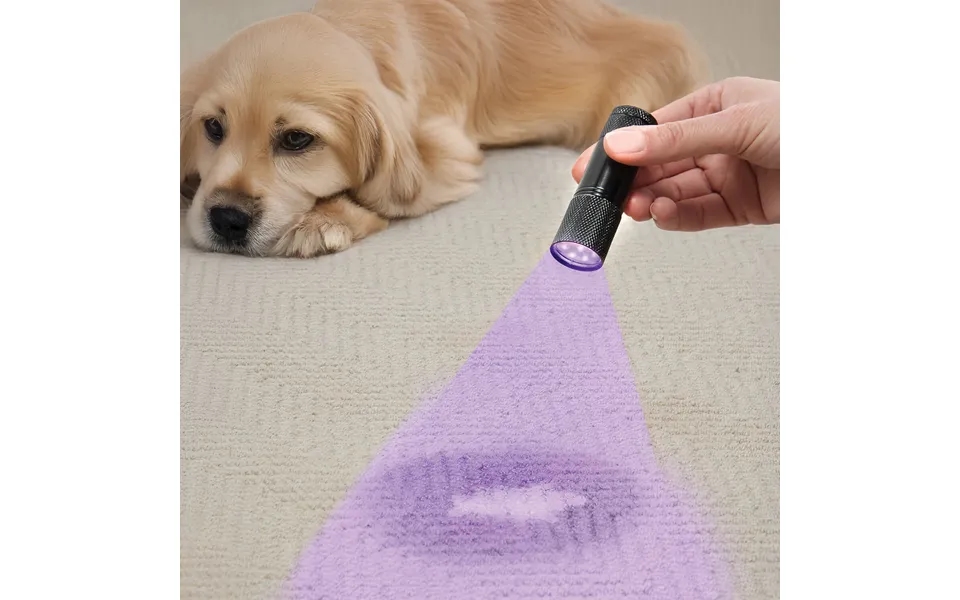 Led Urine Detector Torch