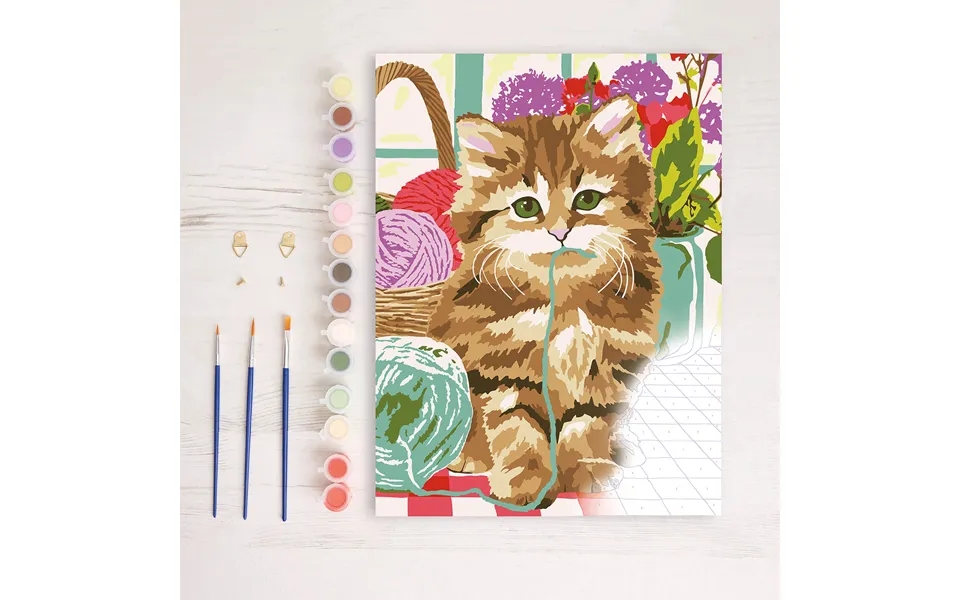 Paint By Numbers Cat
