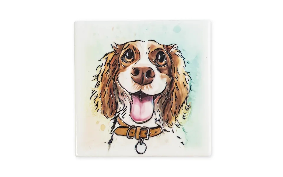 Pk4 Springer Spaniel Coaster