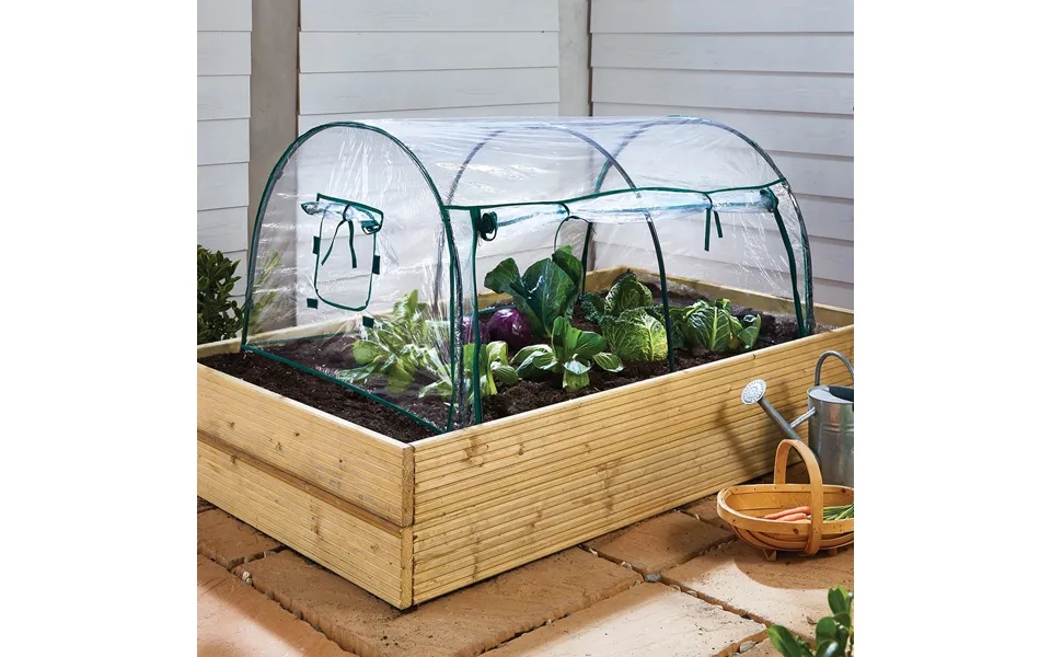 Poly Tunnel Grow House Clear H60 Xw80 Xd120cm