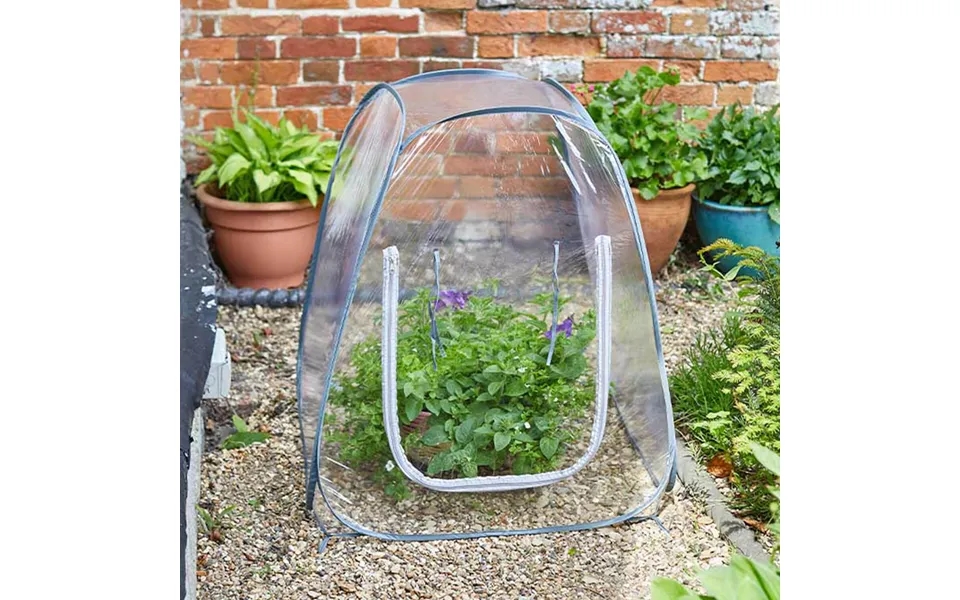 Pop-up Grozone - 50cm X 50cm