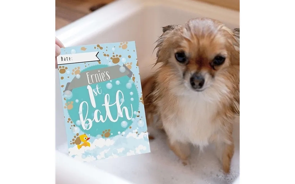 Puppy Cards For Milestone Moments Perso