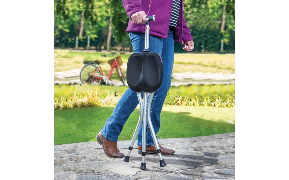 Seated Walking Stick