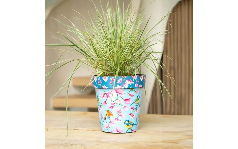 Watercolour Birds 22cm Pot Set Of 3