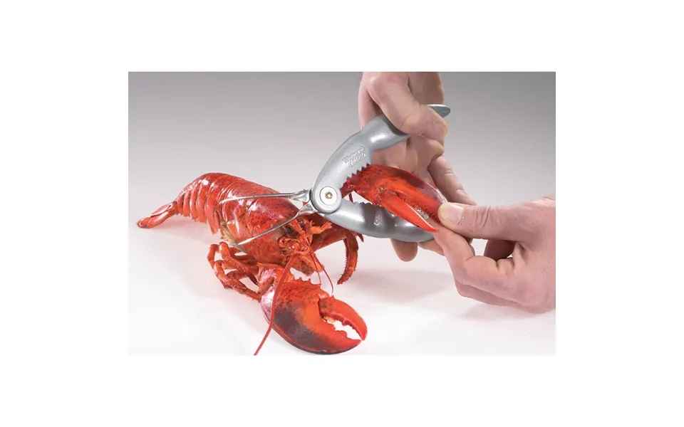 Westmark Cracky Special Lobster Cracker & Pick