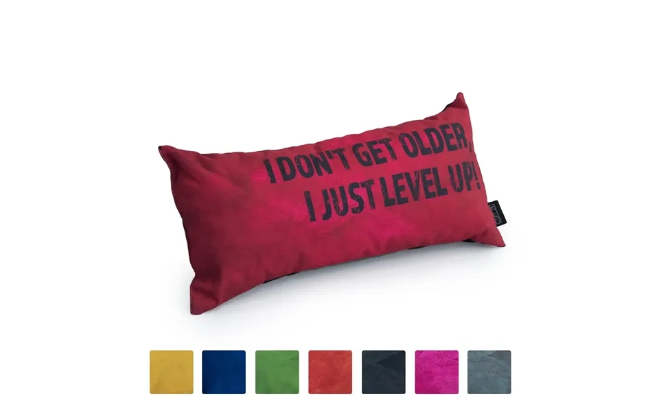 Gaming Cushion - I Don't Get Older, I Just Level Up
