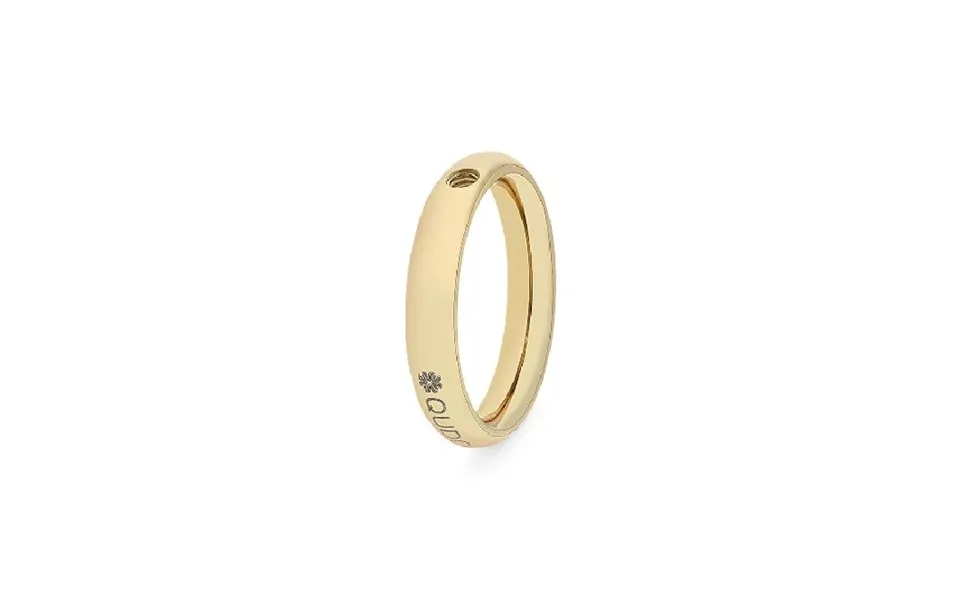 Slim Gold Interchangeable Ring - Size 62