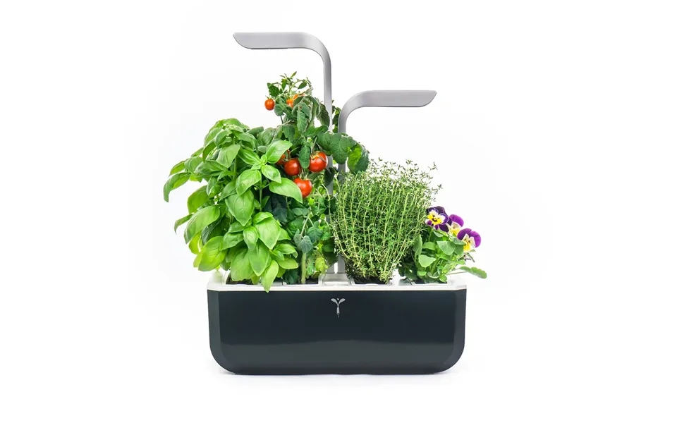 Veritable Classic - 4-slot Smart Indoor Garden In Black