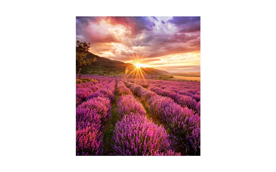 Samsung If015e Transparent Mesh Led Indoor