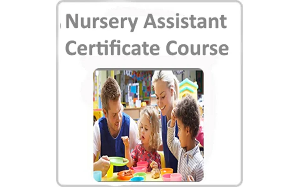 Nursery Assistant Certificate Course