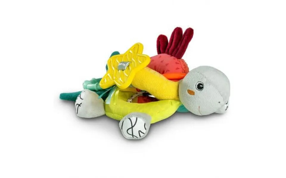 Dobabydoo Turtle Activity Centre - 3 Months