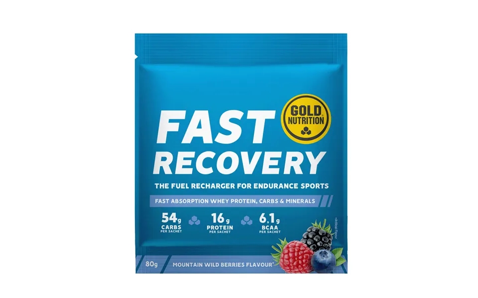 Fast Recovery Recovery Recovery Powder - Berries