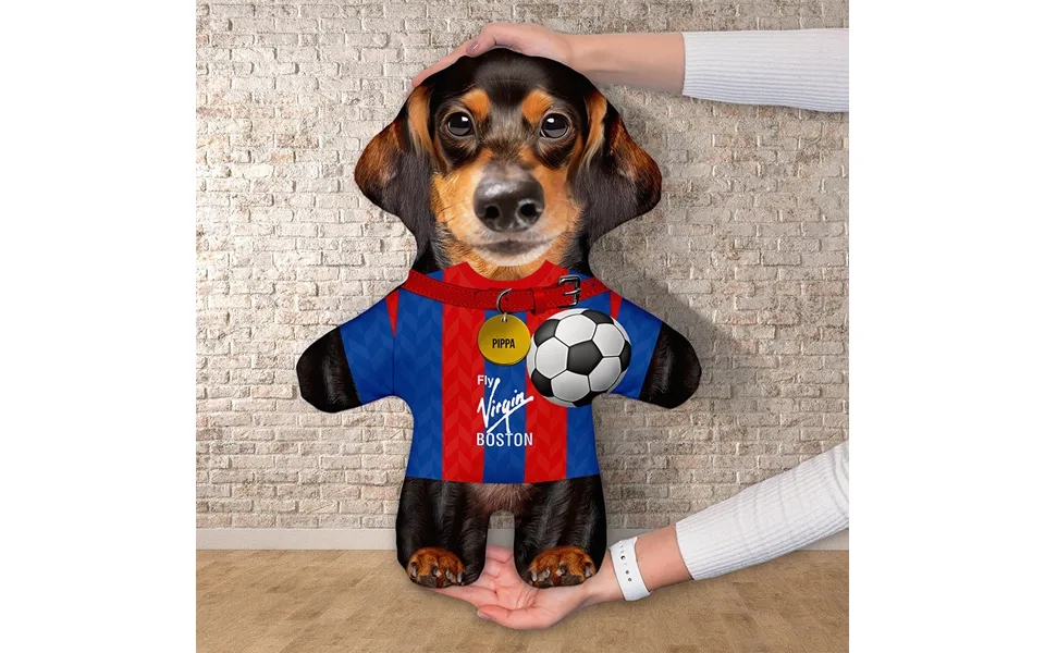 Personalised Create Your Own Pet - Floppy Ears Dog