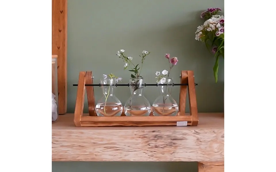 Winning Propagation Vases With Stand