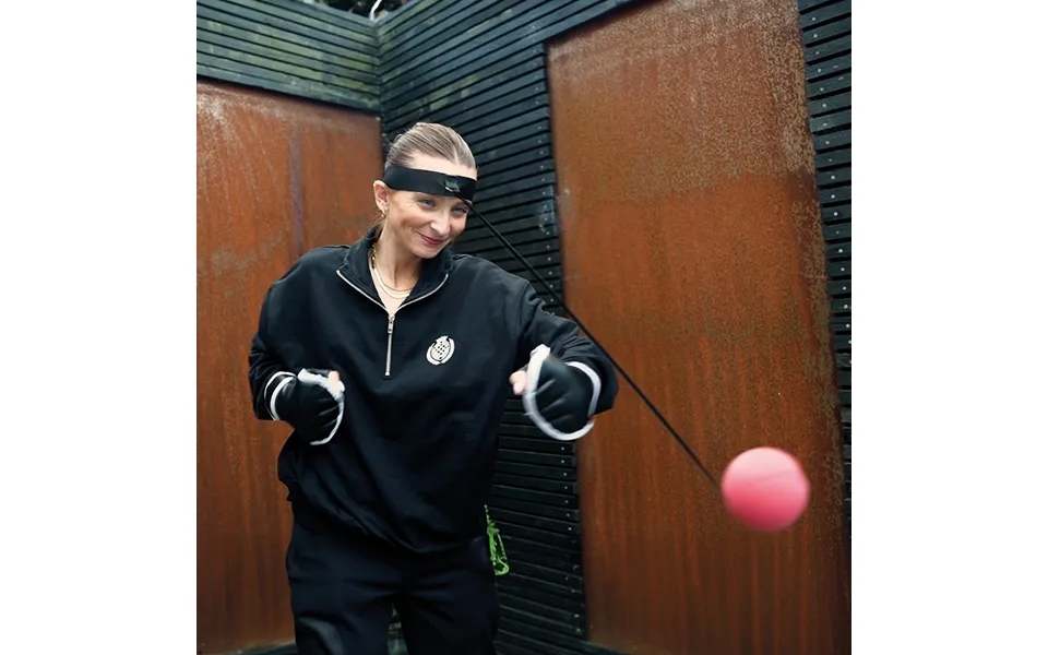 Winning Reflex Boxing Balls