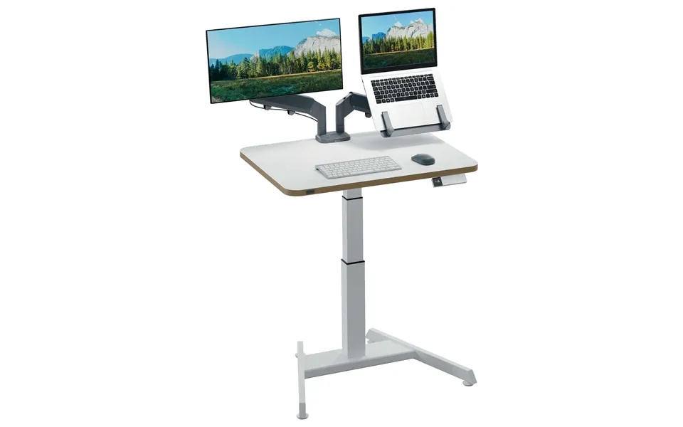 Leitz Ergo Small Electric Sit Standing Desk