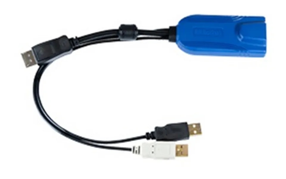 Raritan D2cim-dvusb-dp Kvm Cable Black. Blue