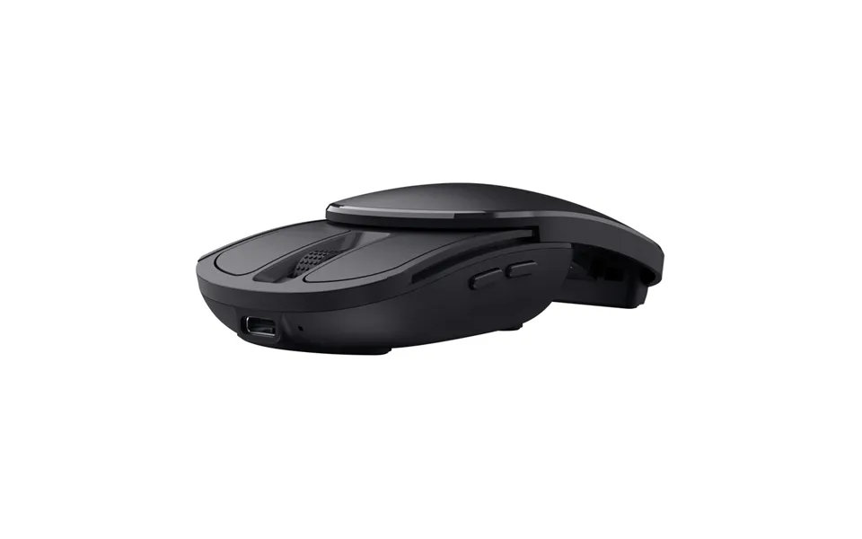 Trust 25733 Mouse Travel Ambidextrous Rf Wireless 2400 Dpi