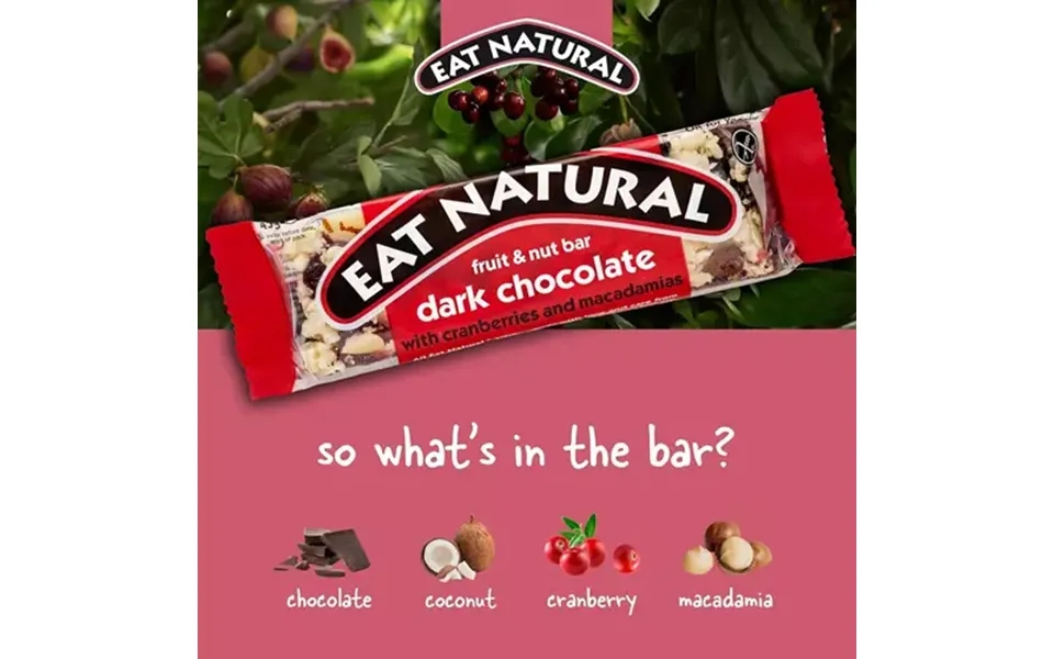 Eat Natural Dark Chocolate Fruit & Nut Gluten Free Bar 40g Pack 12 X 40g - 0401378