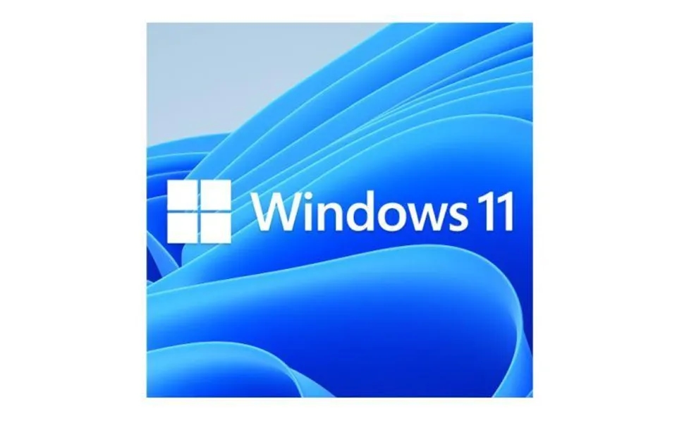 Microsoft Windows 11 Pro Oem