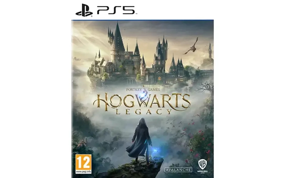 Warner Bros. Games Hogwarts Legacy Standard English Playstation 5