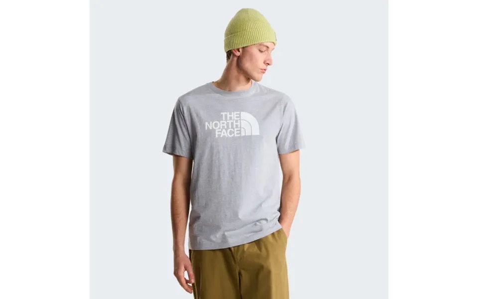 The North Face Evolution Half Dome Regular Ss Tee Gray Men