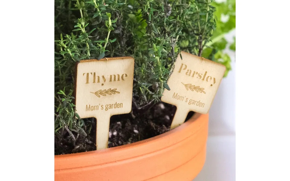 Smartphoto Engraved Wooden Plant Labels - Set Of 12
